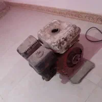 ویبره سلامت و سالم