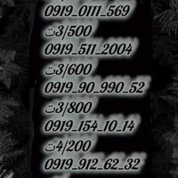 0919-110-40-30|سیم‌کارت|قم, شاه ابراهیم|دیوار