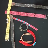 قلاده|لوازم جانبی حیوانات|فریمان, |دیوار