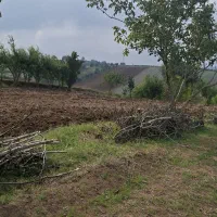 فروش-زمین-هزارمتری-واقع-در-روستای-قلعه-سر