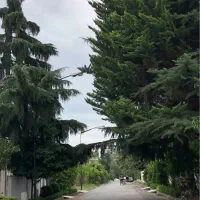 زمین چهارصد دستگاه شاهنشاهی با مجوز ساخت
