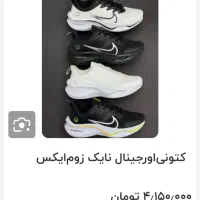 کفش فروشی|کیف، کفش، کمربند|مشگین شهر, |دیوار