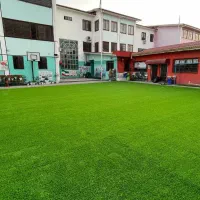 فروش بدون واسطه چمن (مصنوعی)|مصالح و تجهیزات ساختمان|ری, ولی آباد|دیوار