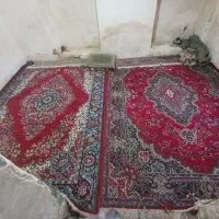 فروش دو عدد قالین