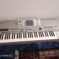 ارگ جنسیس پرشین