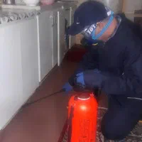 سمپاشی و کنترل افات بهداشتی ( سوسک ساس ...|خدمات نظافت|فاضل آباد, |دیوار