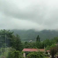 زمین بکر