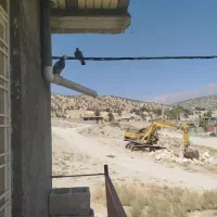 فروش یک جفت کبوتررنگی|پرنده|یاسوج, |دیوار