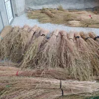 جارو|جاروبرقی، جارو شارژی، بخارشو|نهاوند, |دیوار