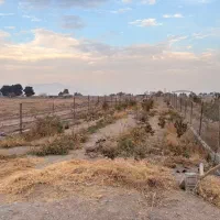 باغ روستای اراضی،باغملک|فروش خانه و ویلا|مبارکه, |دیوار