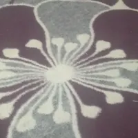 پرستاری ونظافت