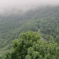 تعمیر و نگهداری ساختمان شما در عسلویه