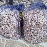 سیر|عمده‌فروشی|پارس‌آباد, |دیوار