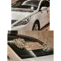 ماشین عروس|گل و گیاه طبیعی|تهران, صادقیه|دیوار