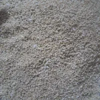 فروش خرده برنج چمپا خوش عطر