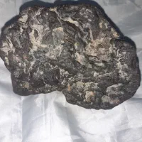 شهاب سنگ|کلکسیون اشیاء عتیقه|دلیجان, |دیوار