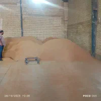 فروش دان طیور و دام سبک و سنگین