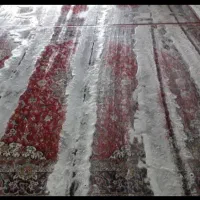 قالیشویی ،مبلشویی و رفوع نجفی