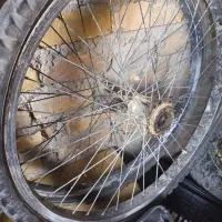 یک جفت طوقه26