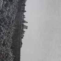 زمین-باغی-ملک