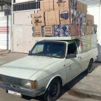 وانت بی رنگ شاسی پلم لاکاغذی