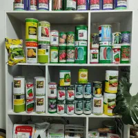 فروش تخصصی انواع بذر سبزیجات و صیفیجات و گل|گل و گیاه طبیعی|بابل, |دیوار