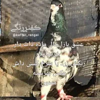 خال ماده