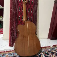 گیتار   Pao Chia     به همراه کیف|گیتار، بیس، امپلیفایر|مشهد, هفت تیر (آب و برق)|دیوار