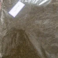 سبزی|خوردنی و آشامیدنی|تربت جام, امام|دیوار