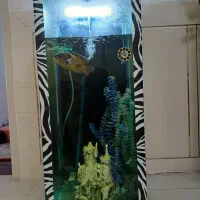 اکواریوم (استوانه ای)|ماهی|نجفآباد, فاز ۳ شهرک آزادگان|دیوار