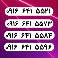 ۰۹۱۶.۶۴۱.۵۵۲۱