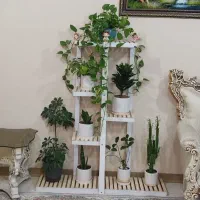 استند گل بدون گل و گلدان ها