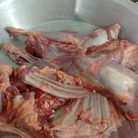 گوشت گوسفند|خوردنی و آشامیدنی|قرق, |دیوار