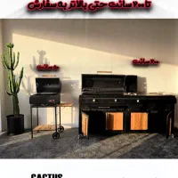 باربیکیو گازی و زغالی کباب پز