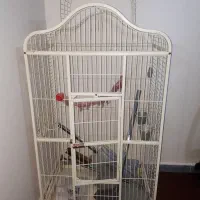 قفس بزرگ پرنده