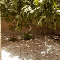 اجاره آپارتمان ۱۵۰ متری ۱ خوابه همکف در کساره|اجارهٔ آپارتمان|اصفهان, کساره|دیوار