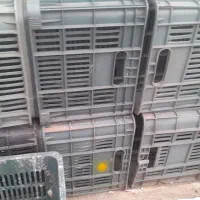 جعبه گوجه ۲۰ کیلو