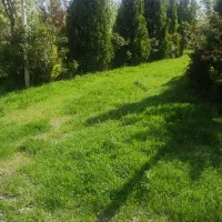 کاهو زمین دور دیوار ۵۰۰ متر شرایطی