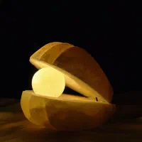 دفع استرس و انرژی منفی /شبخواب سنگ نمک صدف/هدیه|چراغ خواب و آباژور|قم, نیروگاه|دیوار