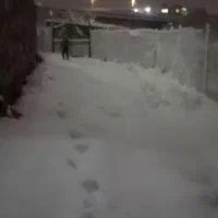 باغ-همایون-لب-جاده-اصلی-تهم