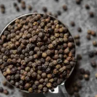 سلام فروش انواع سبزیجات خشک ارگانیک انواع صیفی جات|خوردنی و آشامیدنی|فشاپویه, |دیوار