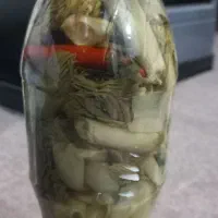 ترشی بیلهر کوهی بسیار  با خاصیت درمانی