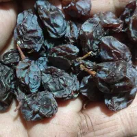 مویز درجه یک باچوغ