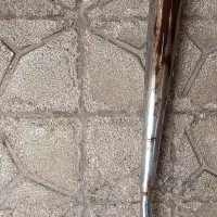 اگزوز