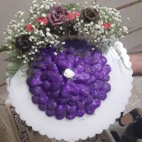 حنا مجلسی