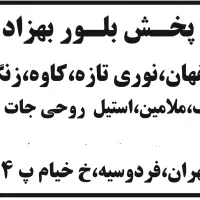 ویزیتور و بازاریاب