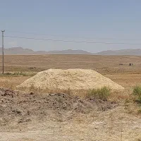 کاه کاکوب مرغوب