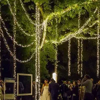 آذین بندی و ریسه کشی سرزمین ریسه|ریسه و چراغ تزئینی|شیراز, فخرآباد (دروازه کازرون)|دیوار