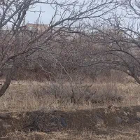 باغ|فروش زمین و ملک کلنگی|مشگین شهر, |دیوار