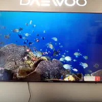 فروش ویژه تلویزیون های دوو